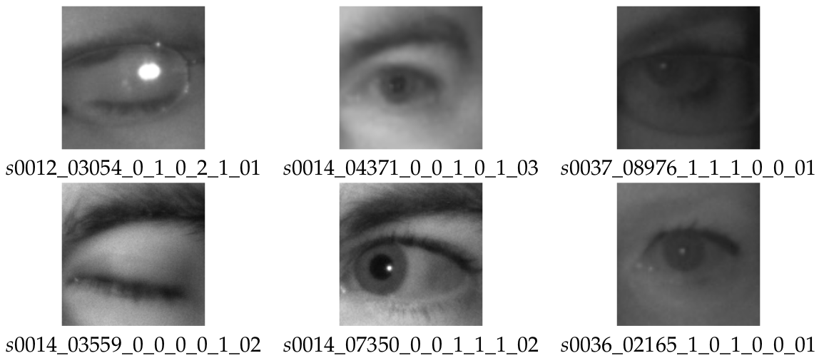 eyeq torrent